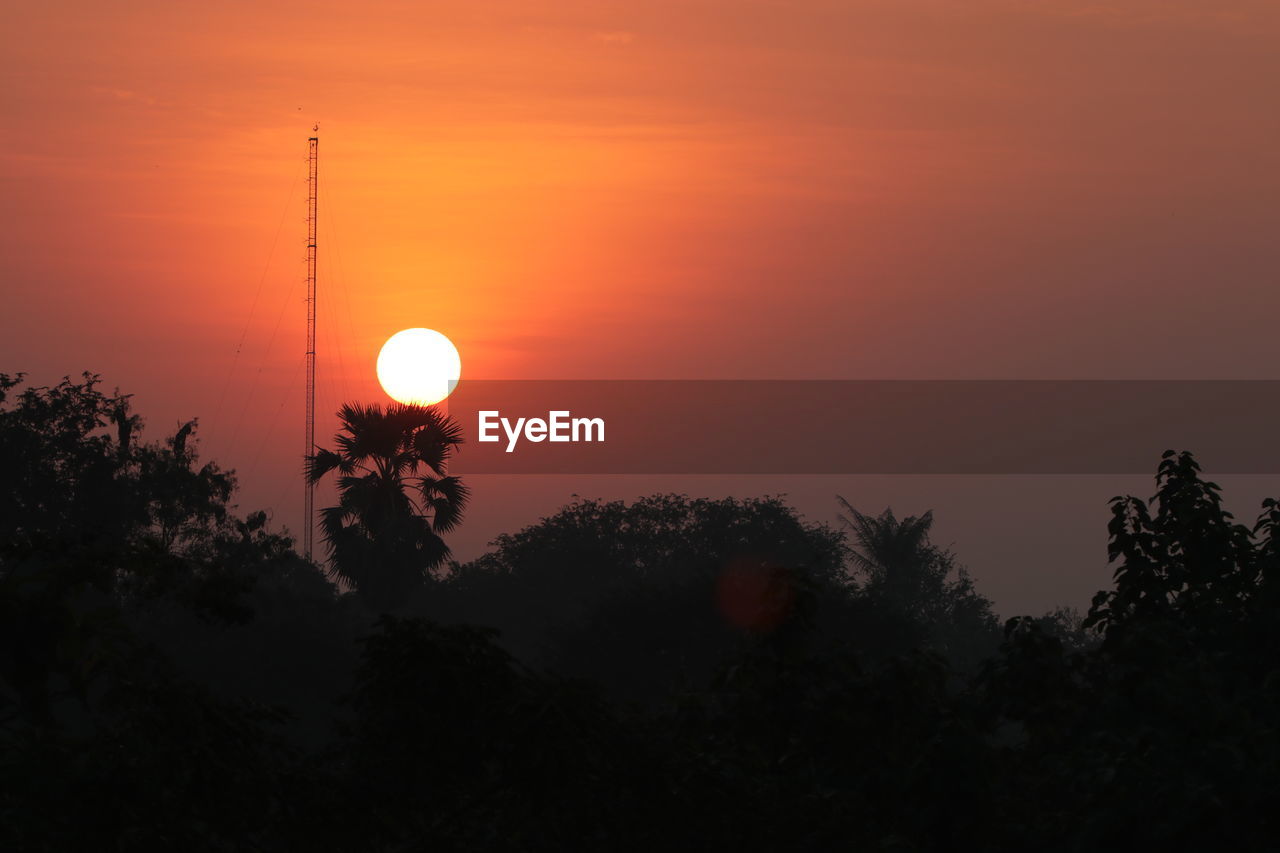 sky, tree, sunset, plant, beauty in nature, silhouette, scenics - nature, dawn, nature, afterglow, tranquility, sun, orange color, cloud, tranquil scene, horizon, no people, astronomical object, sunlight, evening, environment, landscape, idyllic, outdoors, land, non-urban scene, red sky at morning, dramatic sky, growth, forest