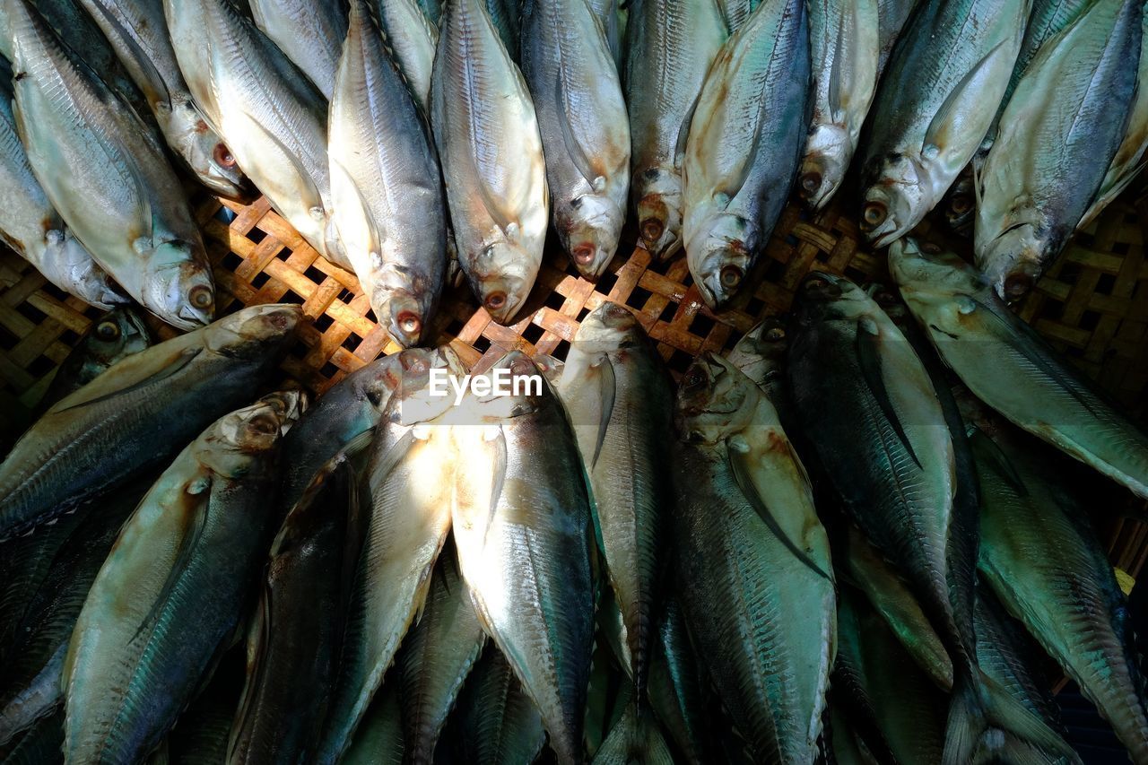 Close-up of fish for sale at market