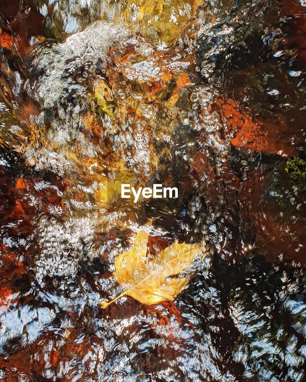 autumn, water, nature, tree, leaf, no people, day, reflection, high angle view, beauty in nature, outdoors, plant part, lake, plant, full frame, orange color, waterfront, close-up, tranquility, backgrounds, stream, sunlight