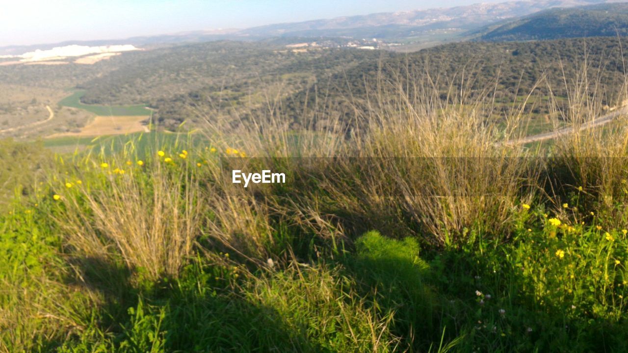 SCENIC VIEW OF MOUNTAINS