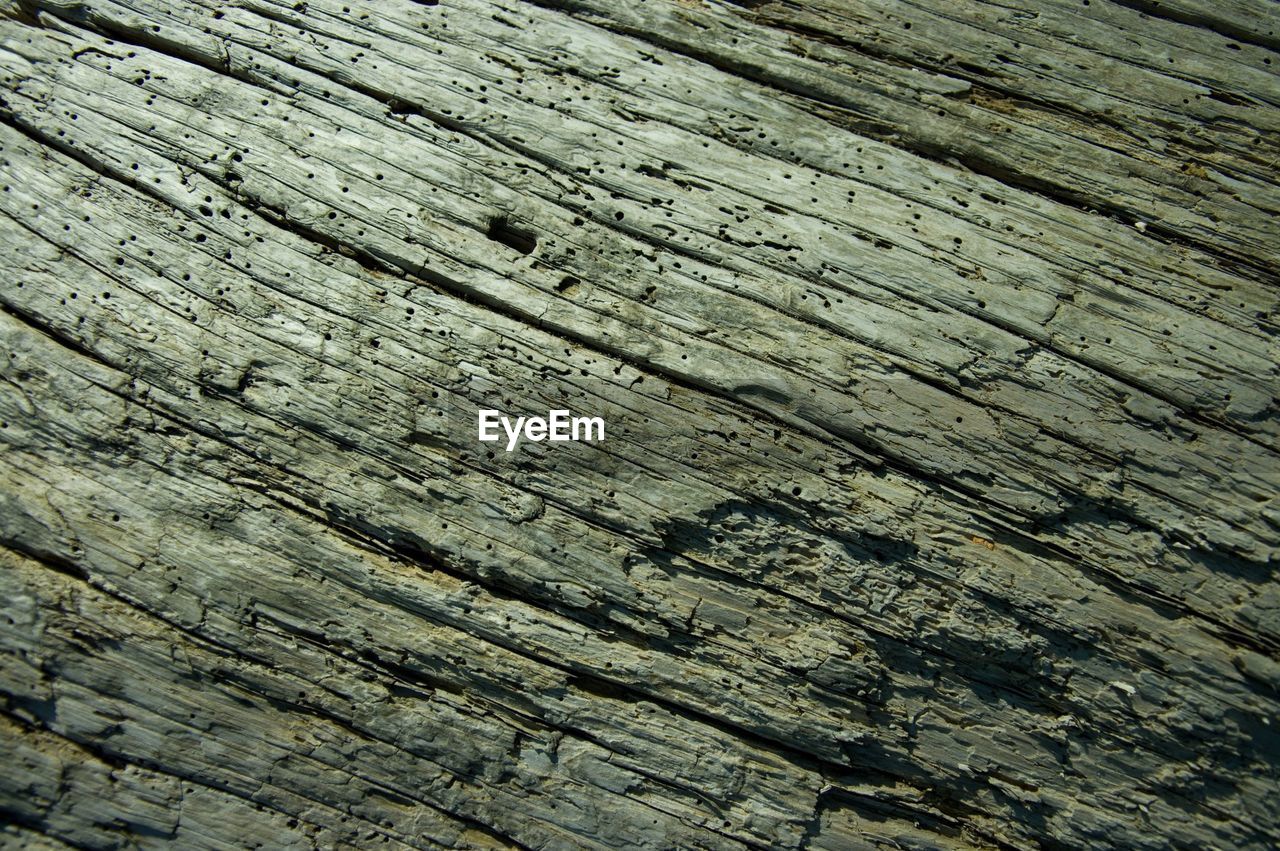 FULL FRAME SHOT OF WOOD WITH TEXTURED BACKGROUND