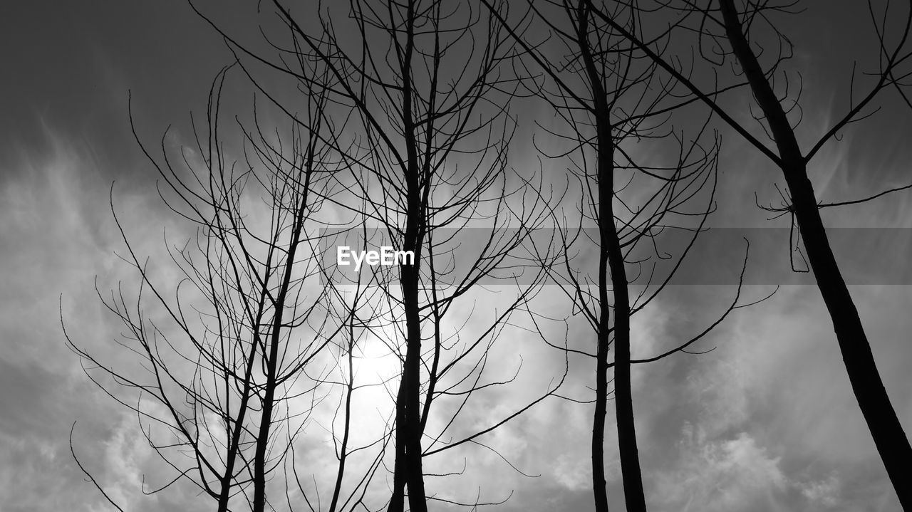 Low angle view of silhouette bare trees against clouds