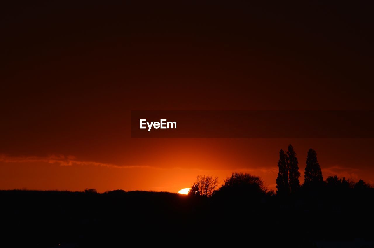 SCENIC VIEW OF SILHOUETTE TREES AGAINST ORANGE SKY