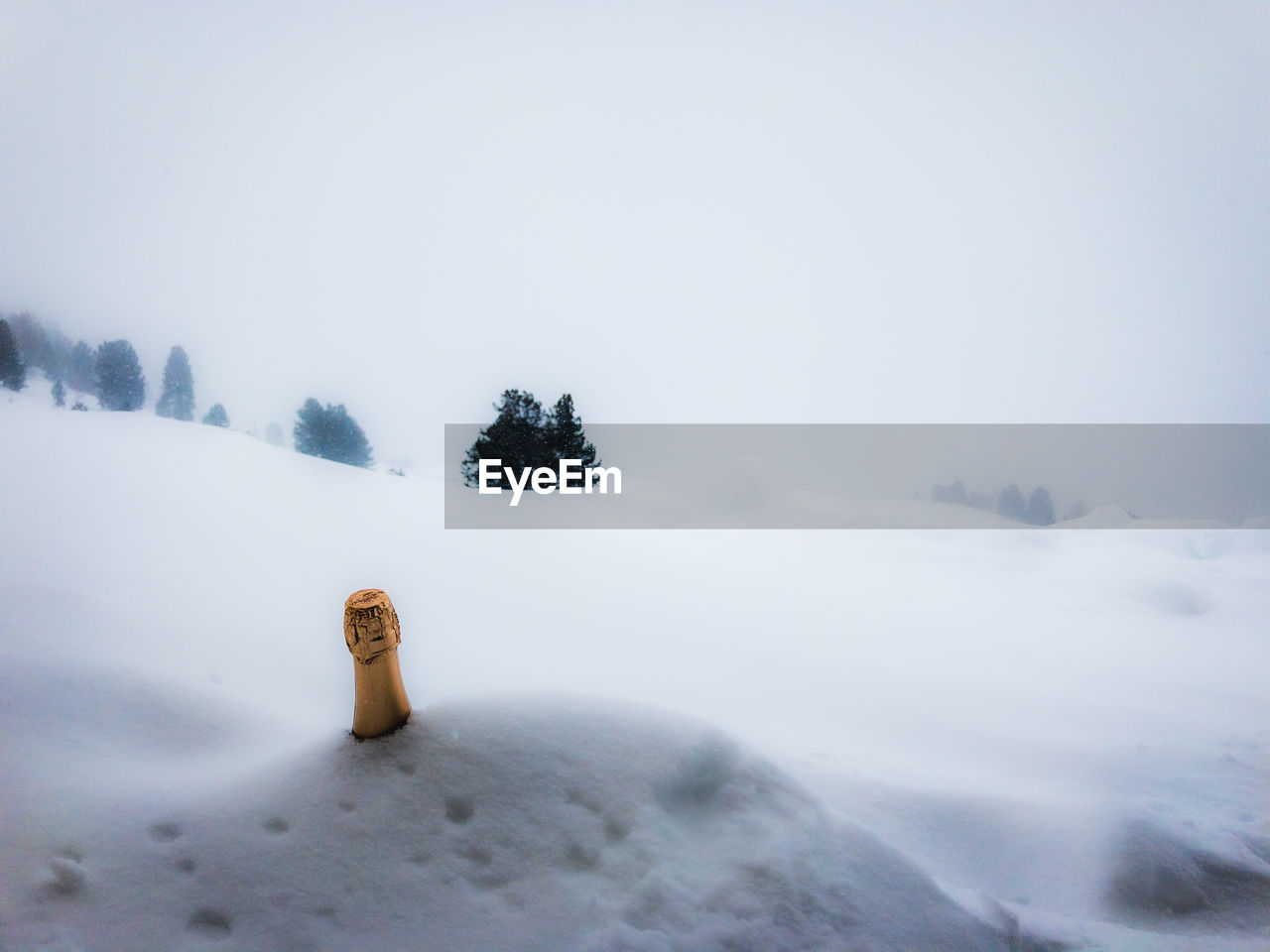 SNOW COVERED LAND BY TREES AGAINST SKY