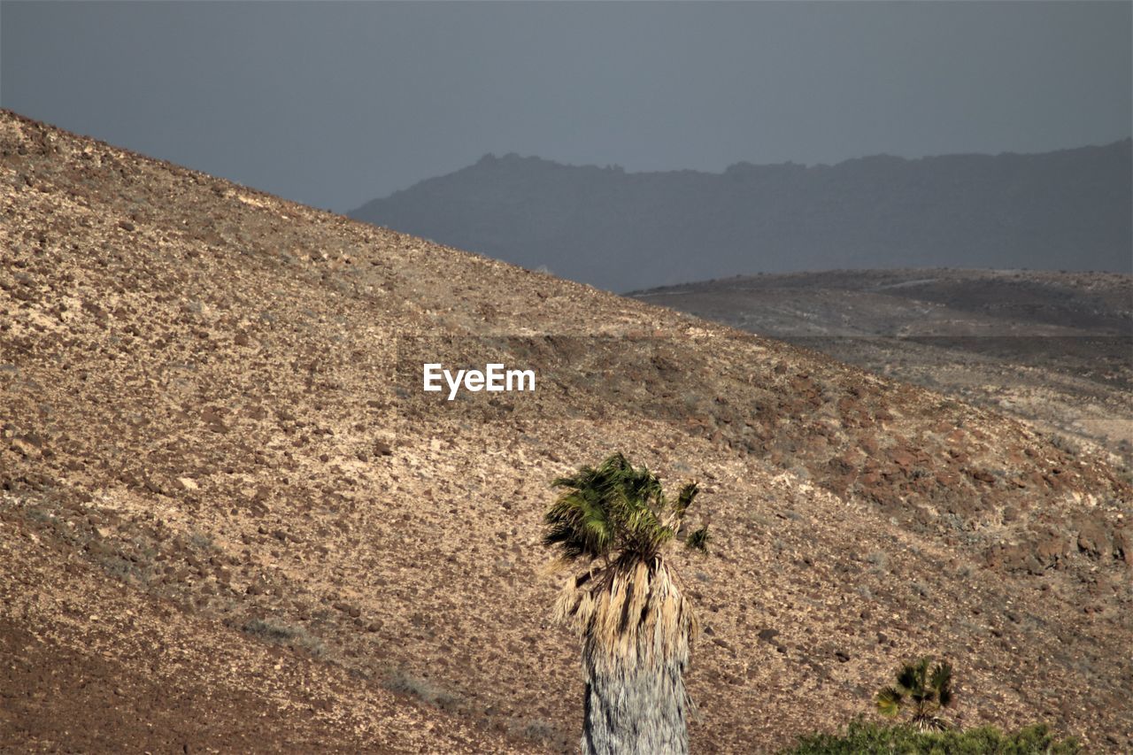 Scenic view of desert against sky