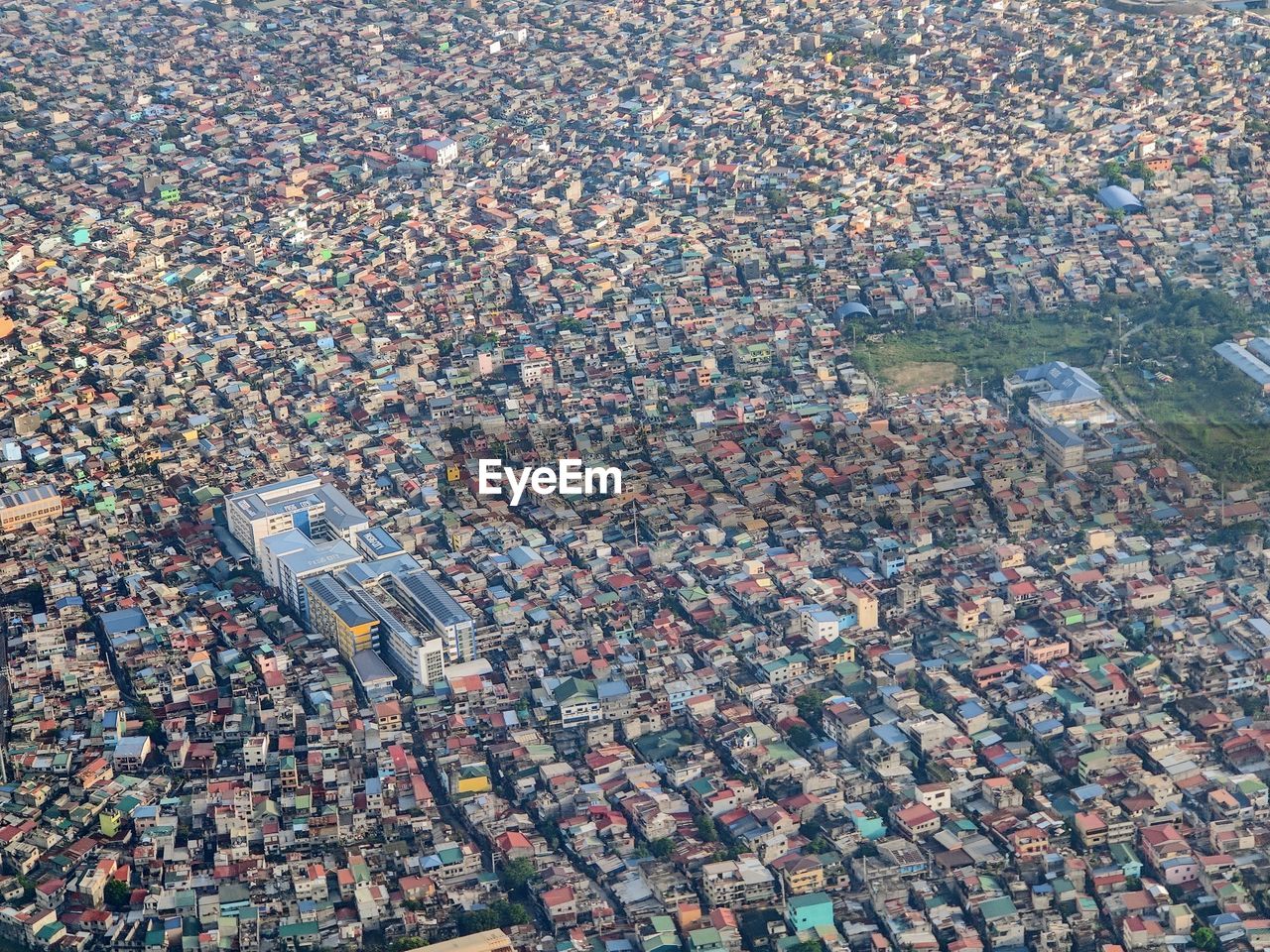 High angle view of petals and buildings in city