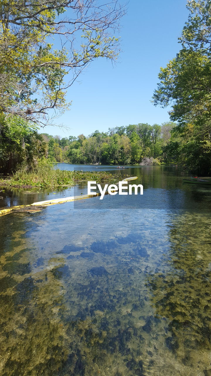 Lake with trees in background