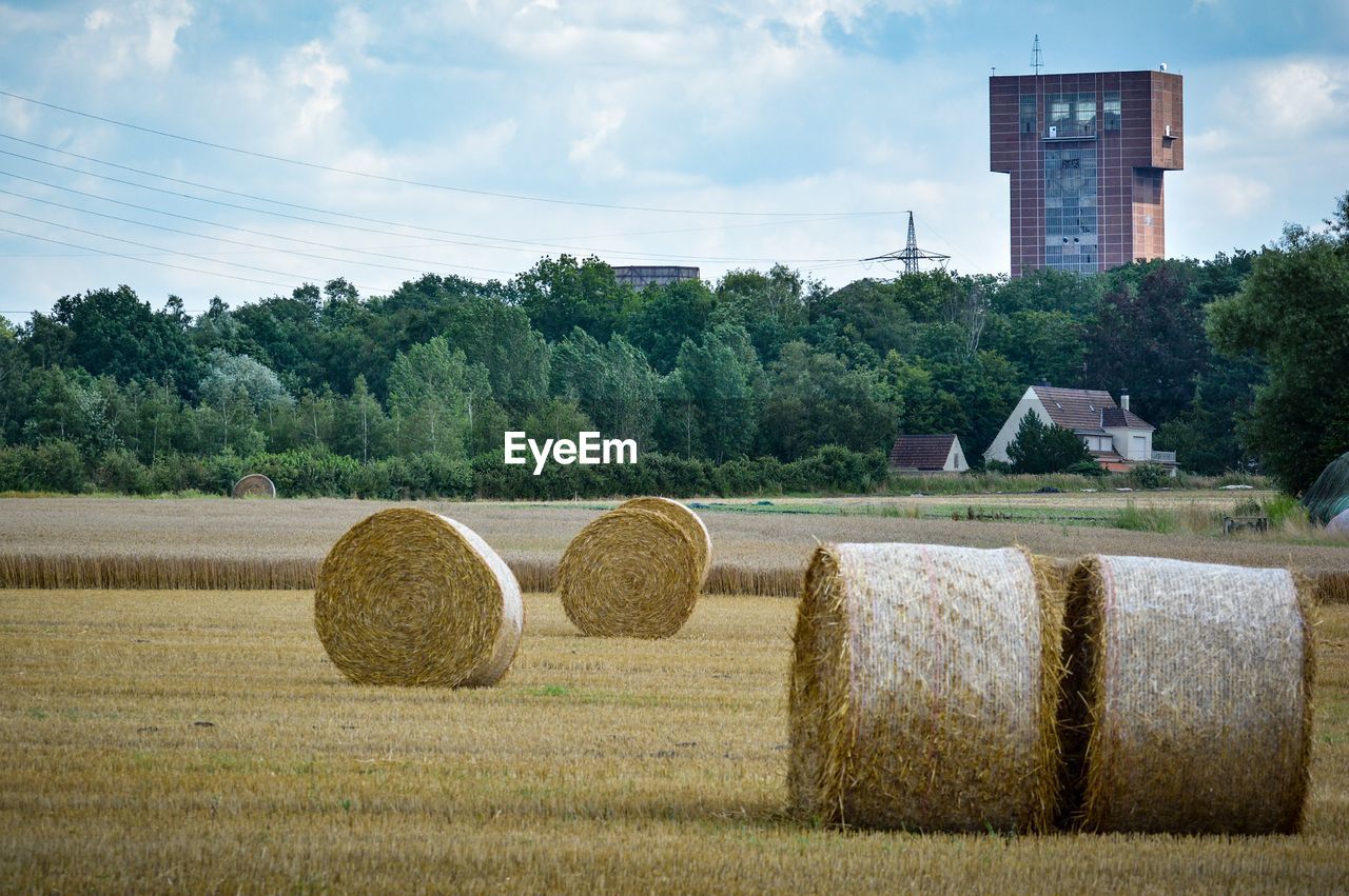 HAY BALES ON FIELD