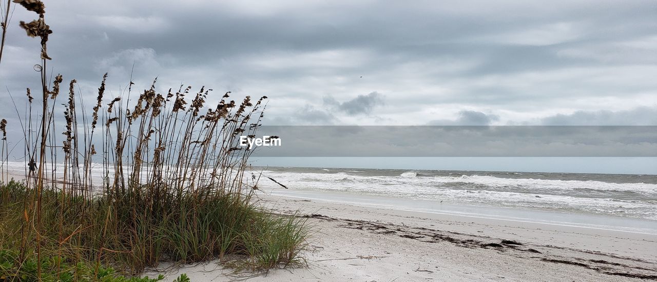 Scenic view of beach against sky