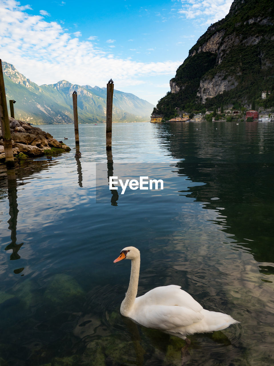 SWAN SWIMMING ON LAKE AGAINST MOUNTAIN