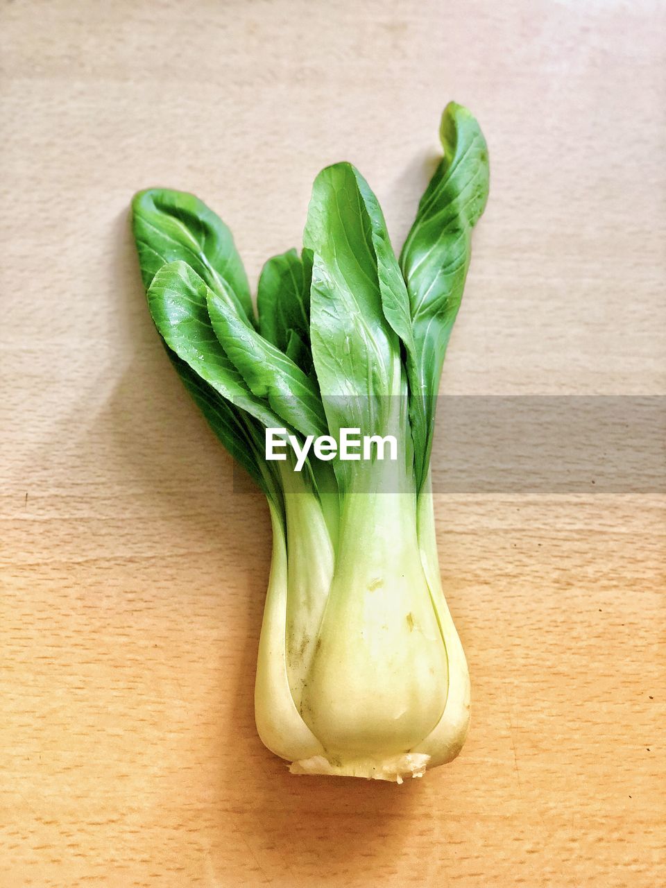 HIGH ANGLE VIEW OF VEGETABLE ON TABLE