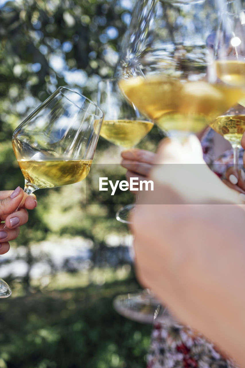 cropped hand of person holding wineglass