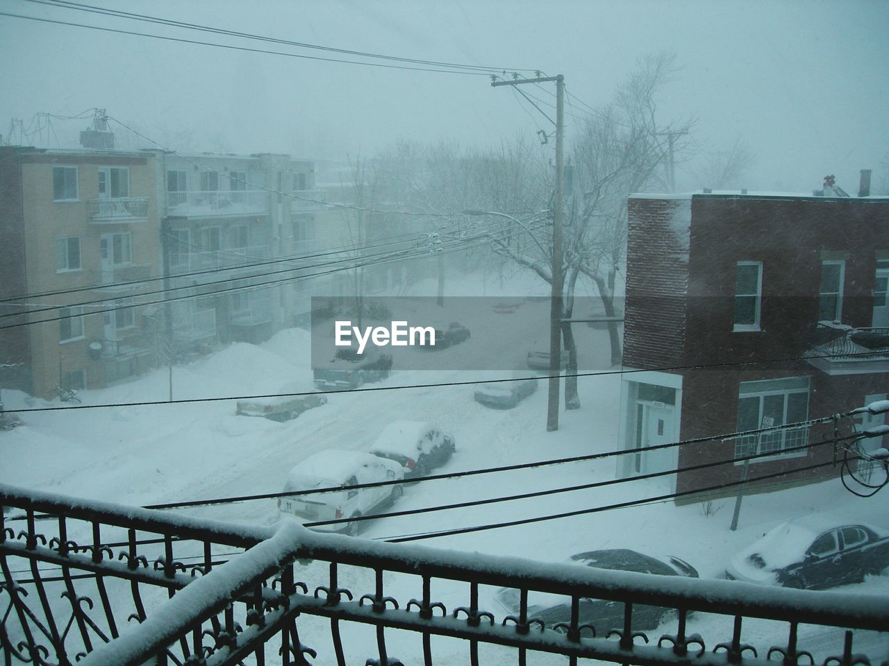 SNOW COVERED LANDSCAPE