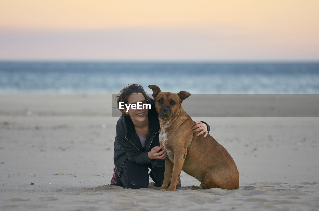 VIEW OF DOG ON BEACH