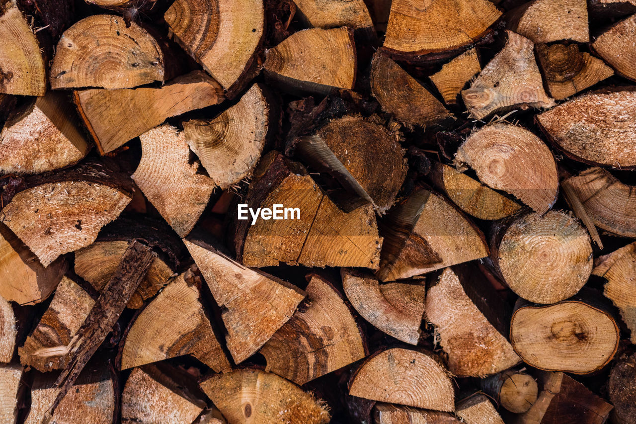 FULL FRAME SHOT OF FIREWOOD IN FOREST