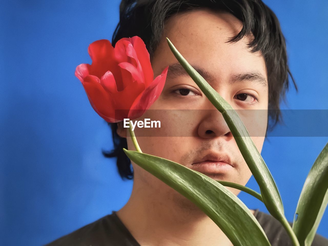 Close-up portrait of young man with red tulip against blue background.