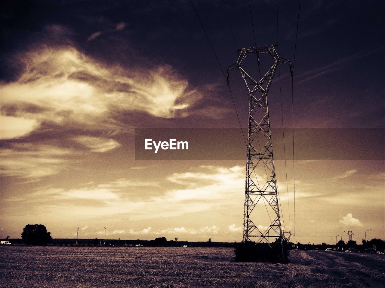 Electricity pylon in agricultural field