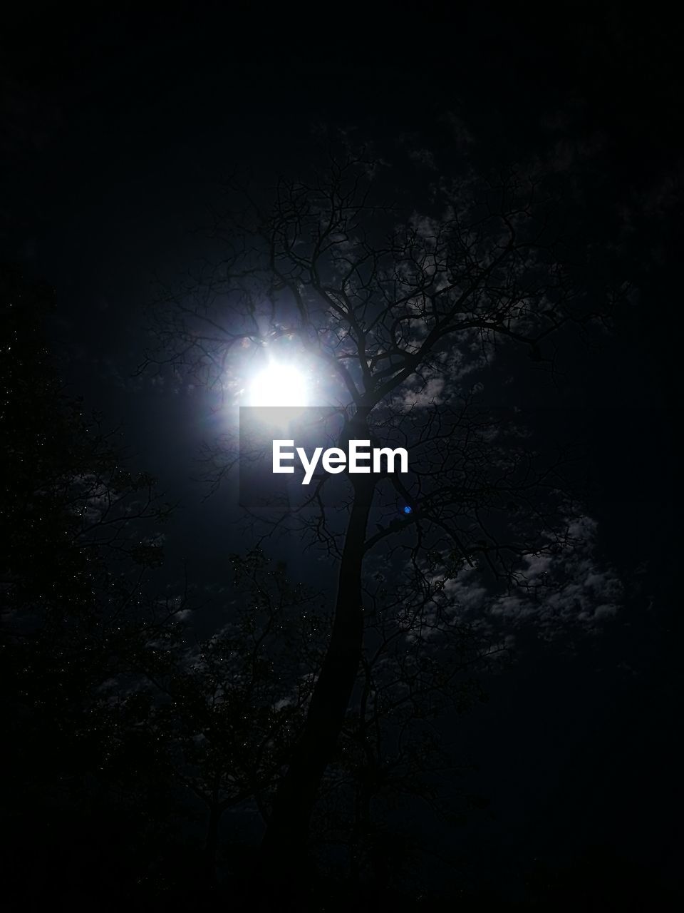 LOW ANGLE VIEW OF BARE TREE AGAINST SKY