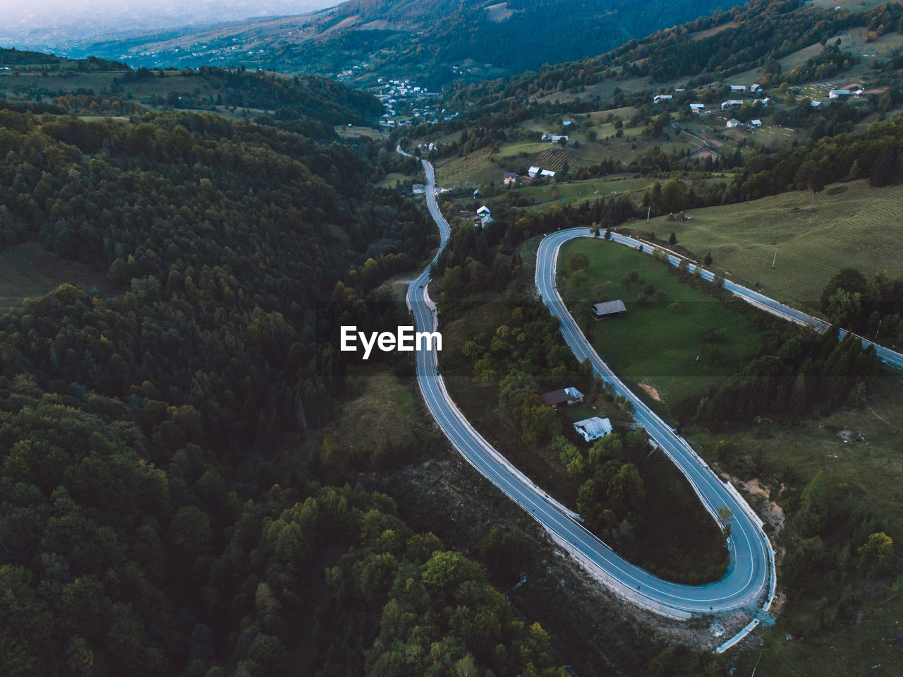 High angle view of road amidst trees
