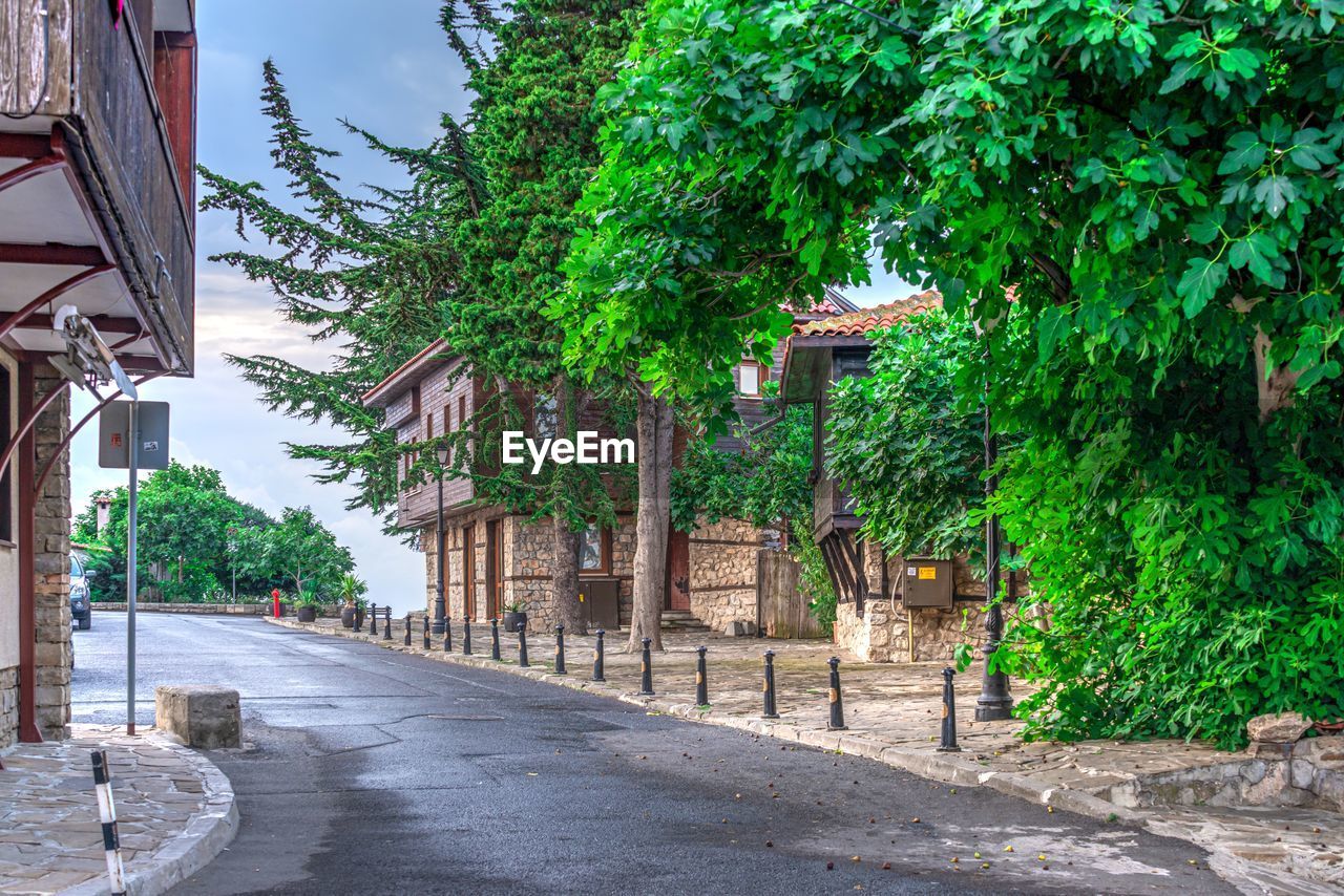 STREET BY TREES AND BUILDINGS