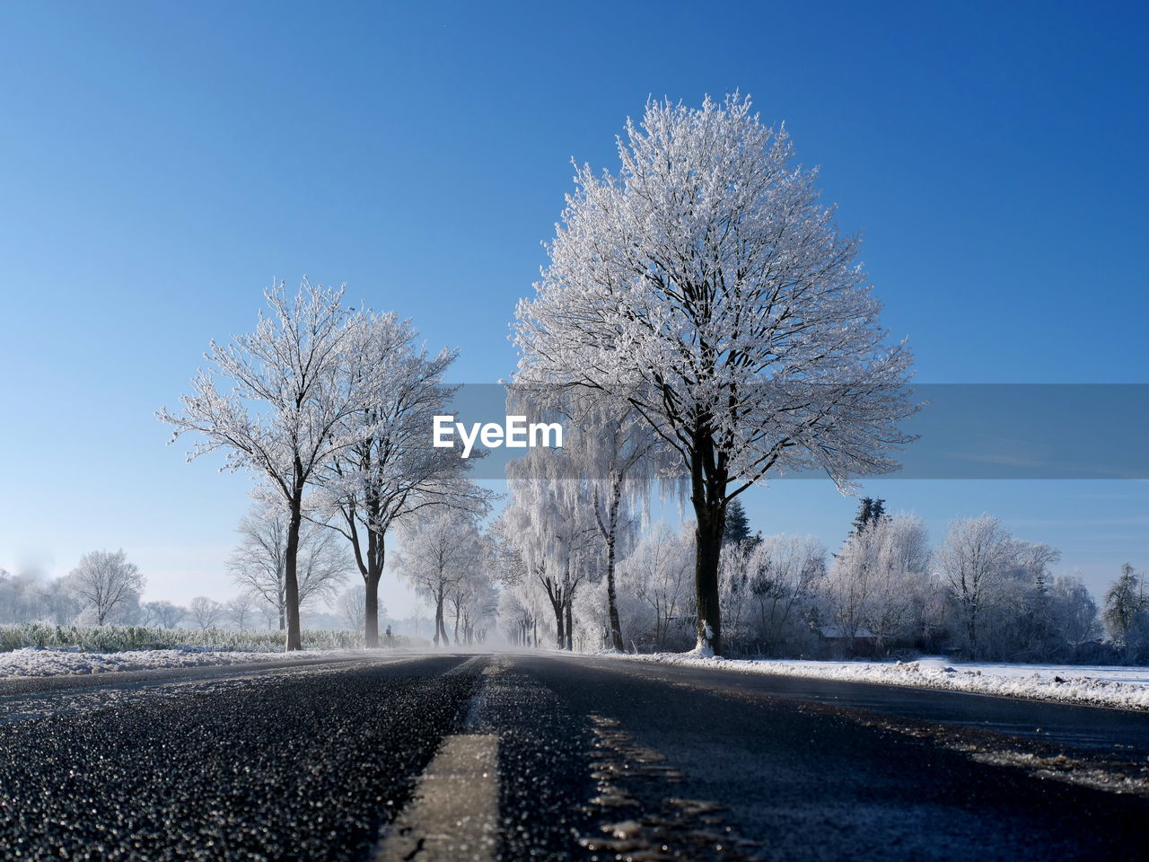 SNOW COVERED ROAD AMIDST TREES AGAINST SKY