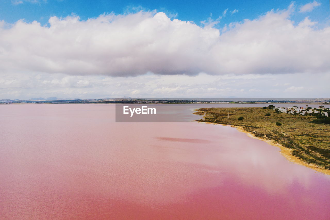 Scenic view of pink salt lake and beach against blue sky