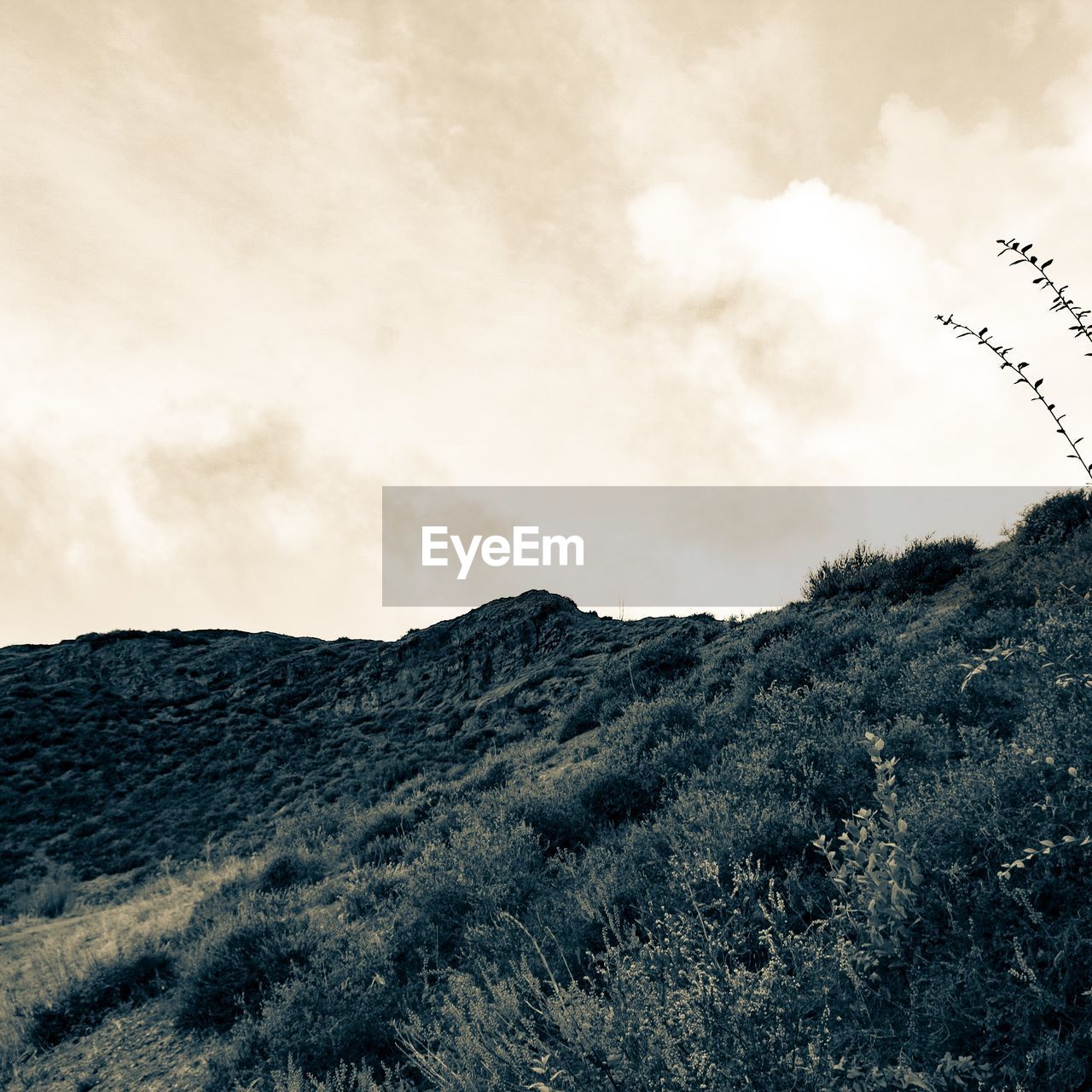 LOW ANGLE VIEW OF MOUNTAIN RANGE AGAINST SKY