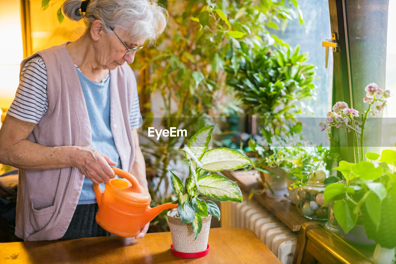 REAR VIEW OF WOMAN WITH ARMS RAISED ON PLANTS