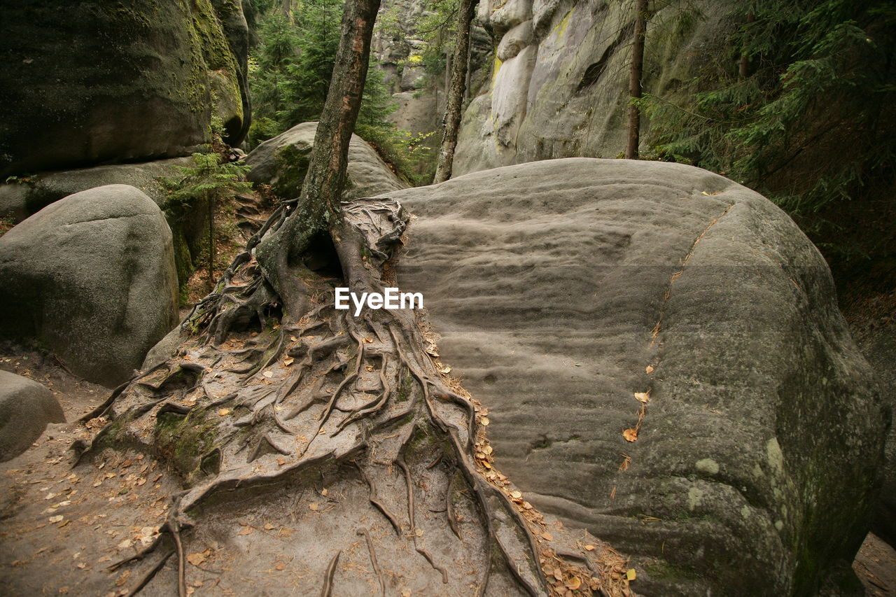 CLOSE-UP OF ROCK FORMATION