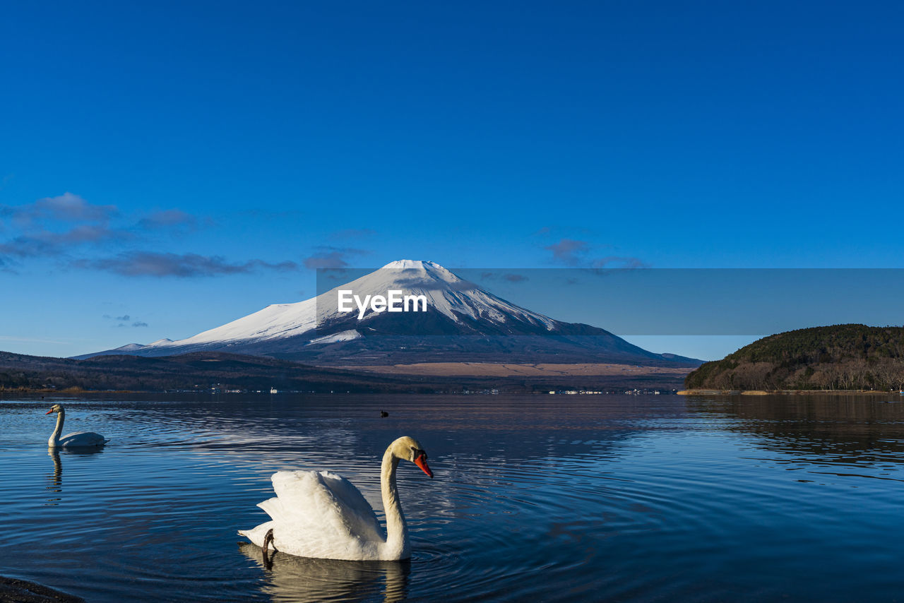 Scenic view of lake and snowcapped mountains against blue sky