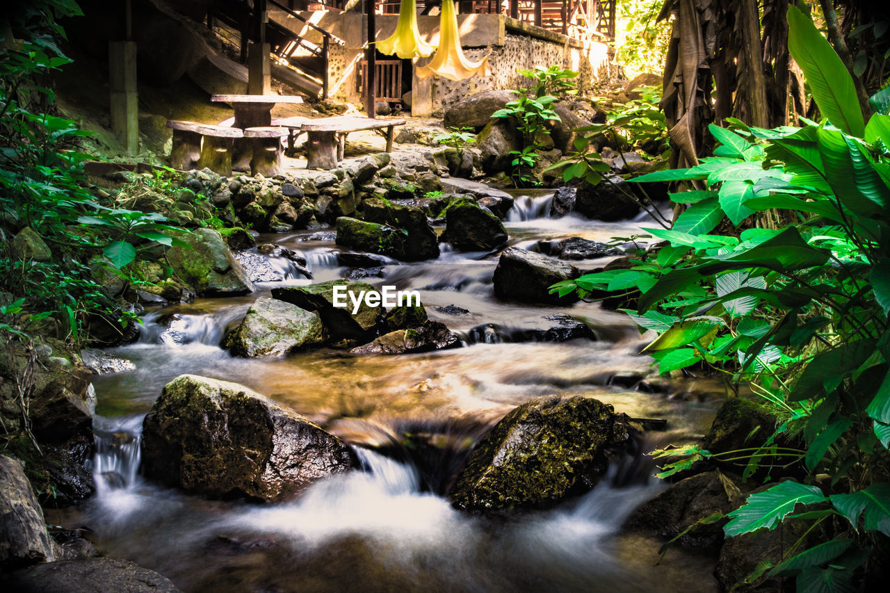 STREAM AMIDST ROCKS IN FOREST