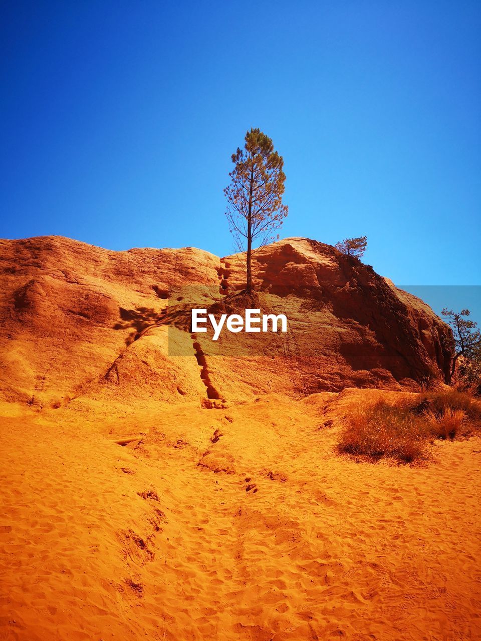 TREES ON ROCK AGAINST SKY