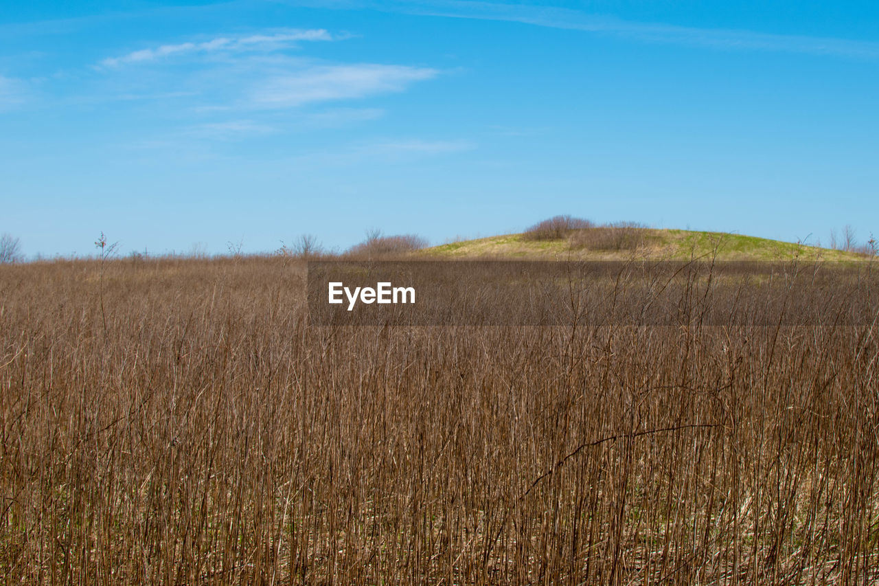 VIEW OF FIELD AGAINST SKY