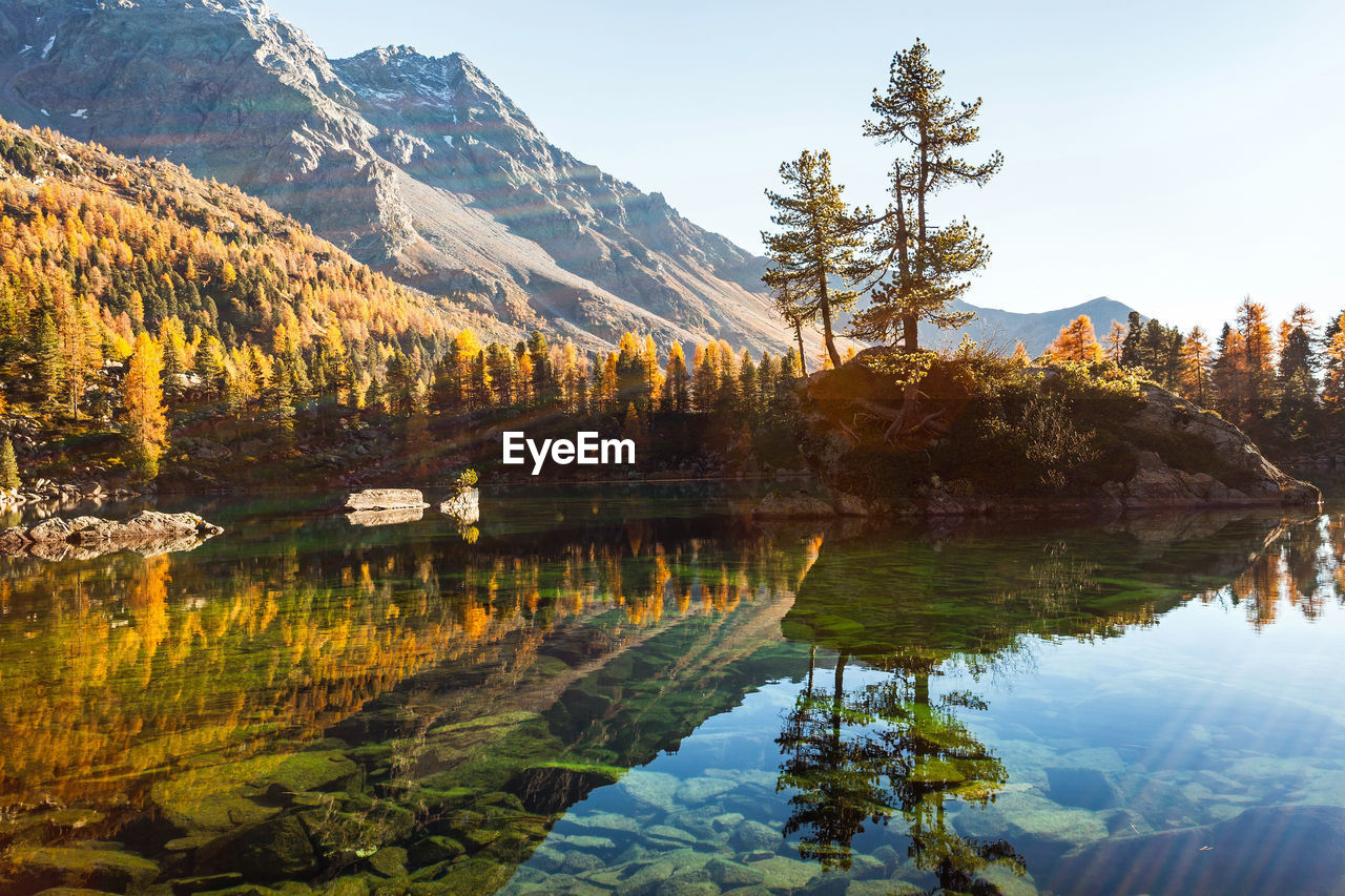 REFLECTION OF TREES IN LAKE AGAINST SKY