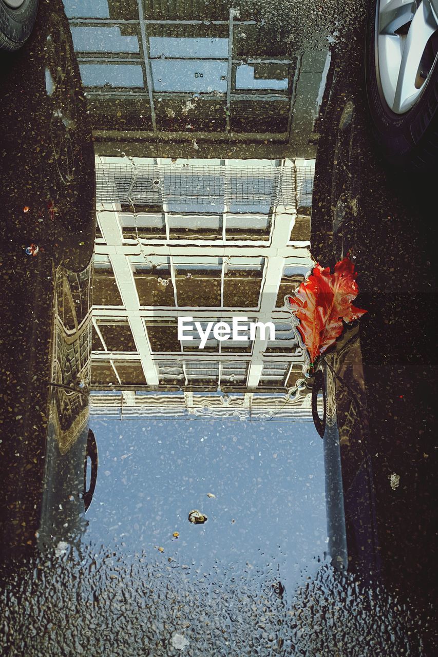 Orange leaf in puddle with building reflection