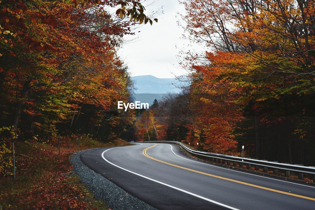 ROAD PASSING THROUGH TREES DURING AUTUMN AGAINST SKY