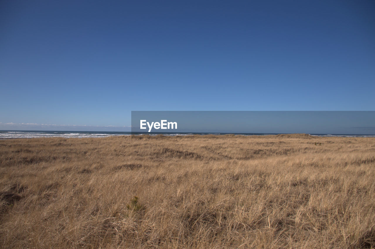 Scenic view of sea against clear blue sky