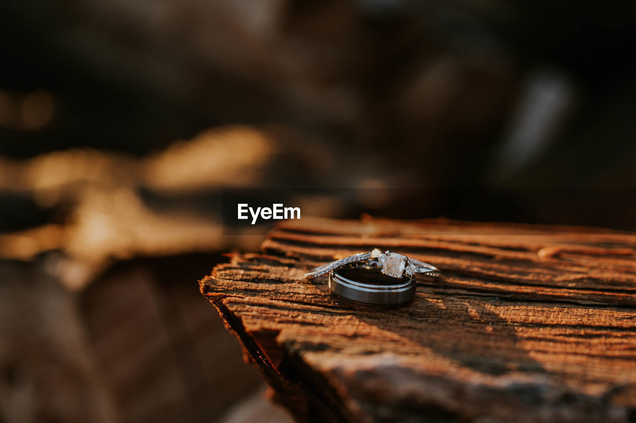 Close-up of wedding rings on wood