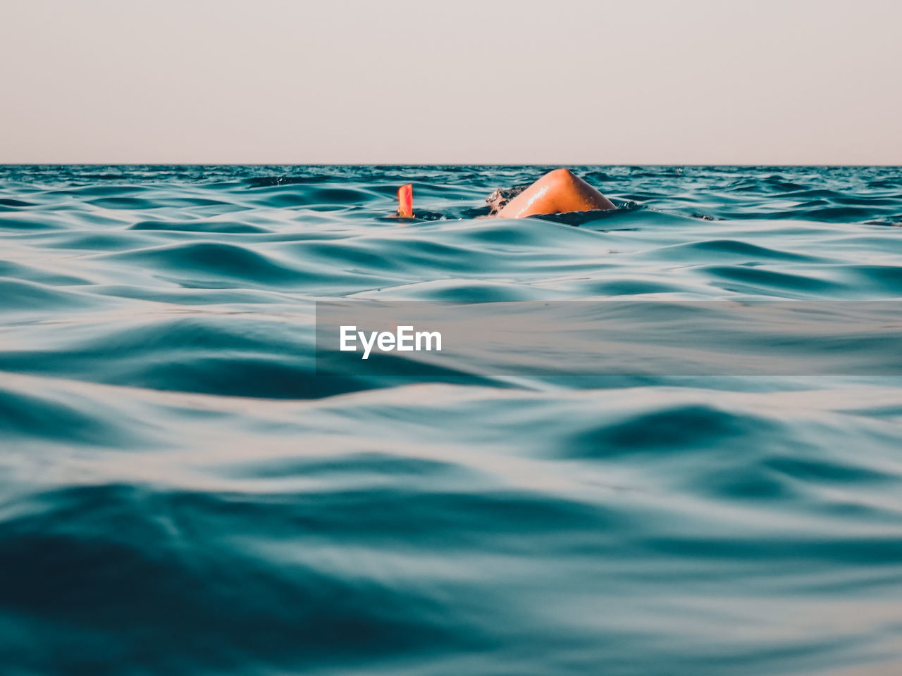 Low section of person swimming in pool