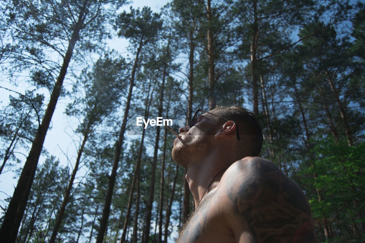 Low angle view of young man standing in forest