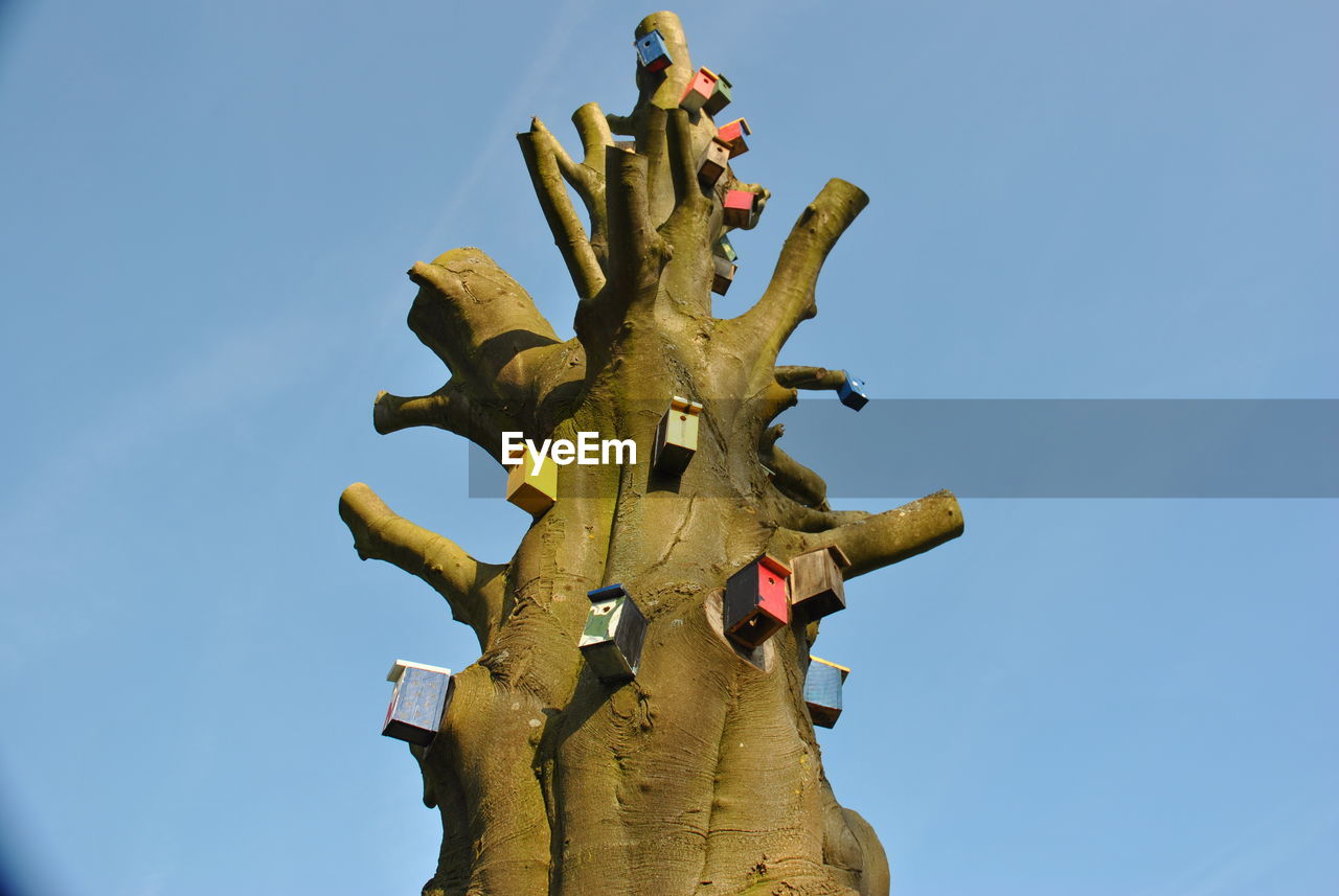 Low angle view of bird houses on dead tree against clear blue sky