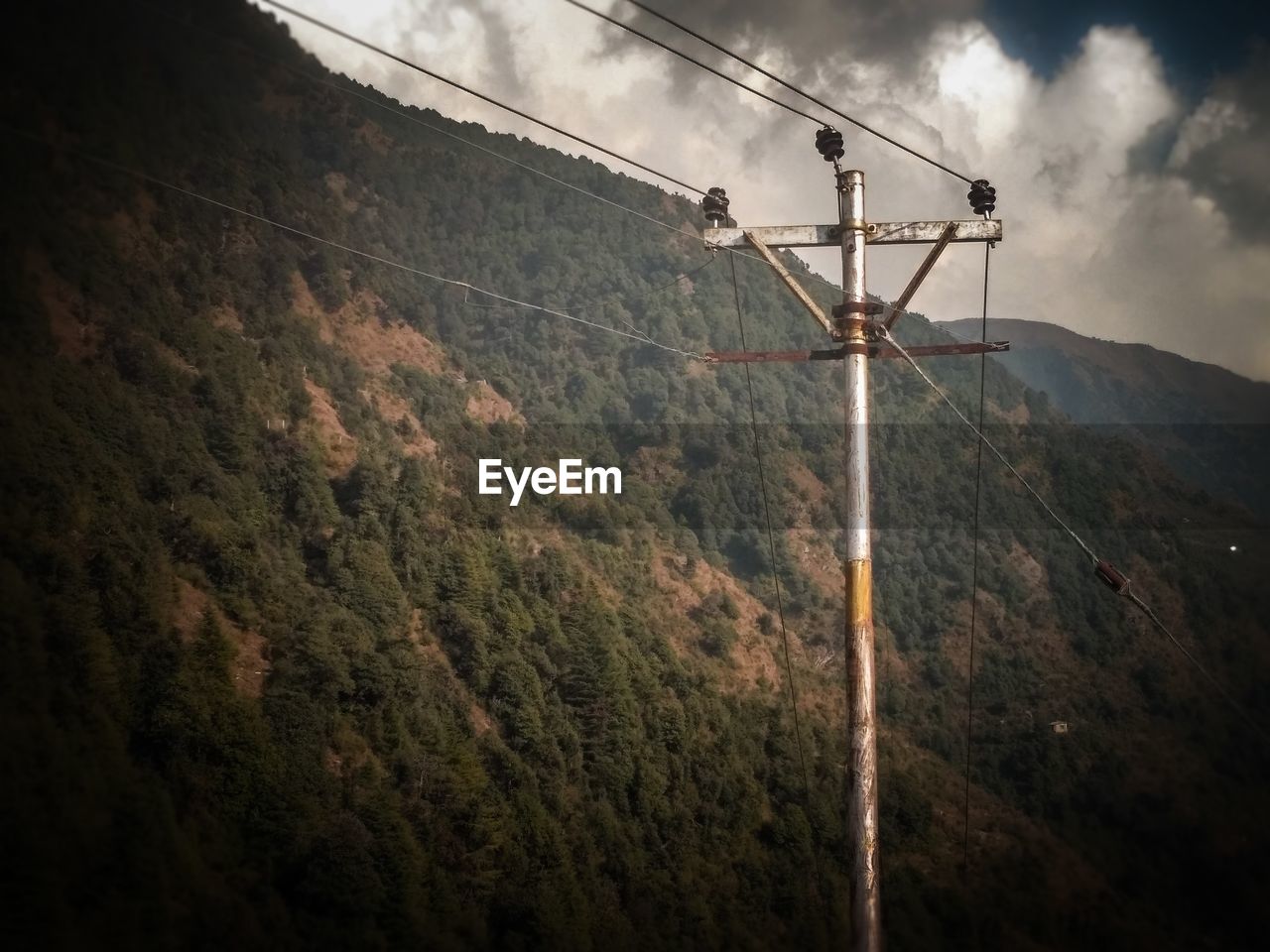 LOW ANGLE VIEW OF ELECTRICITY PYLON AND TREE AGAINST SKY