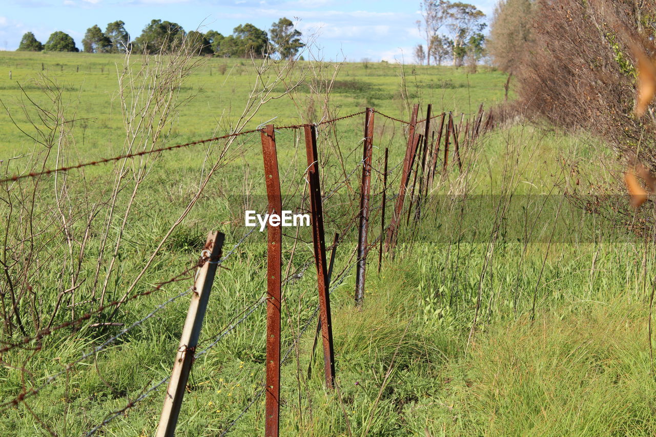 WOODEN POST ON FIELD