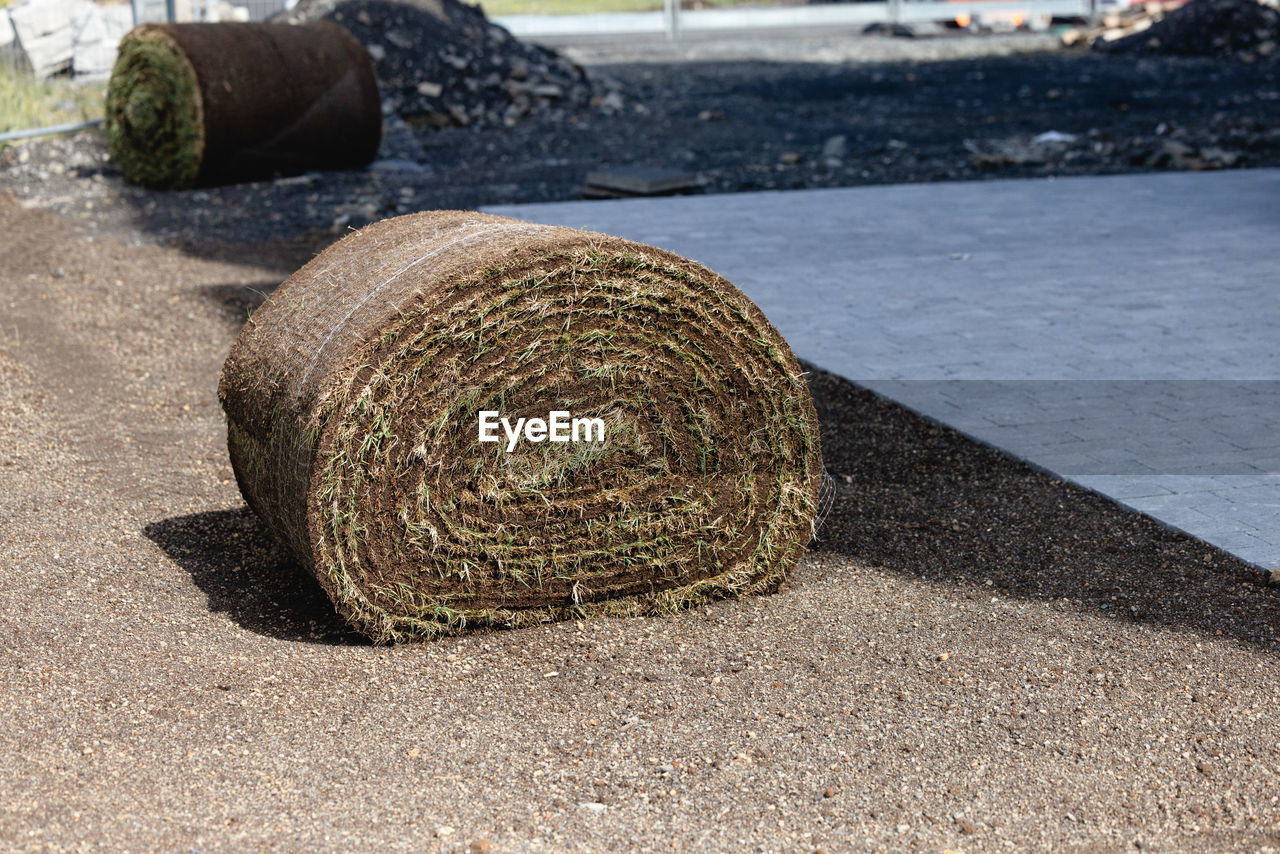 day, nature, sand, land, no people, rock, sunlight, beach, outdoors, wood, shape, water, circle, focus on foreground, close-up, geometric shape