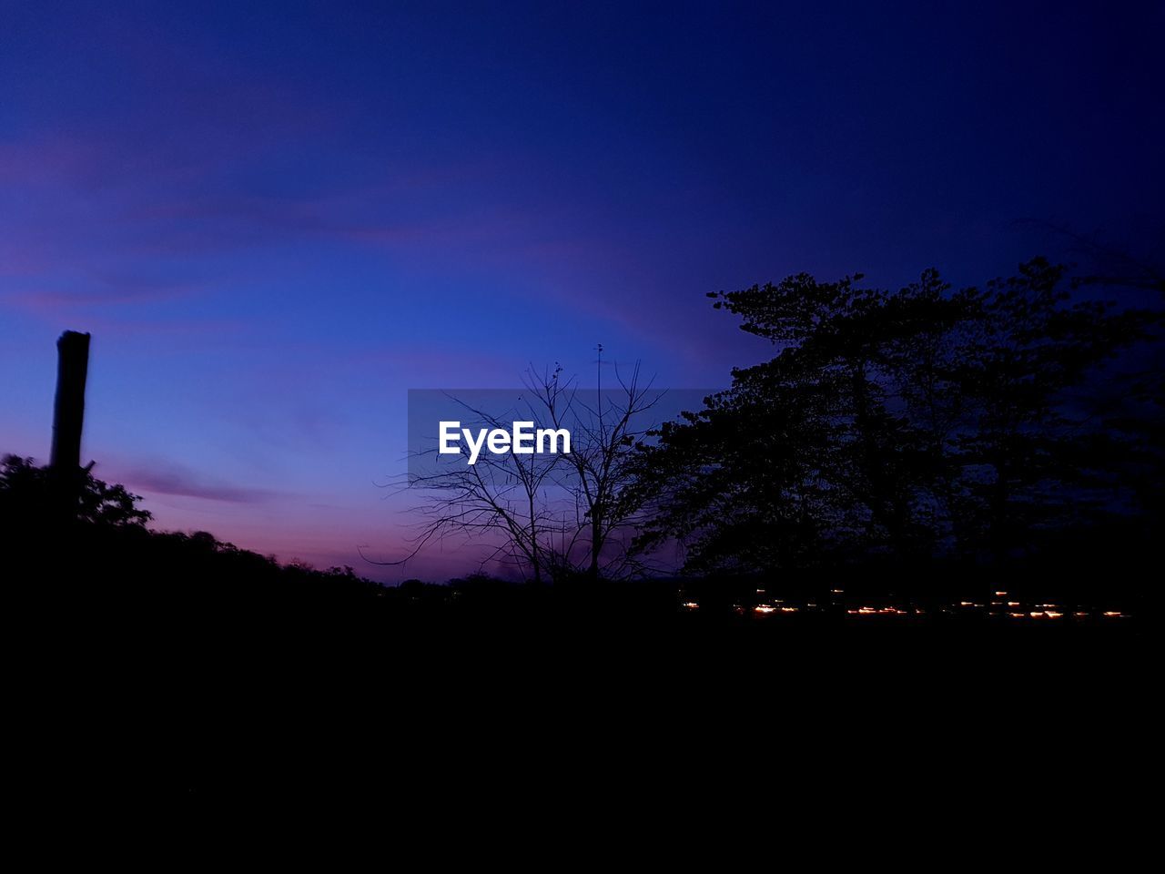 SILHOUETTE TREES AGAINST BLUE SKY AT NIGHT