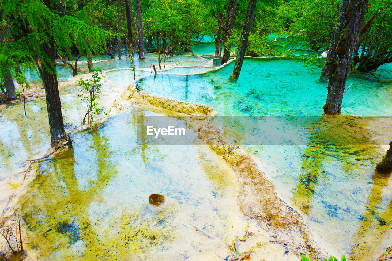 SCENIC VIEW OF TREES AND WATER