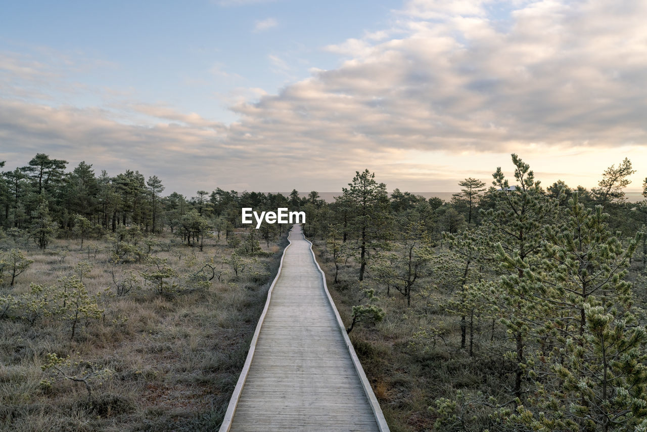 Walking track atviru raba or bog at lahemaa national park in autumn