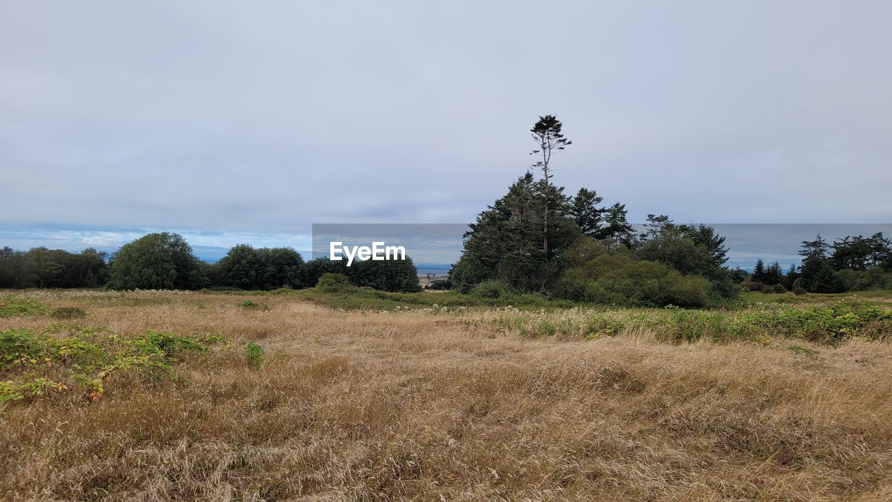 plant, sky, landscape, tree, rural area, environment, land, nature, cloud, hill, grass, prairie, field, no people, scenics - nature, rural scene, tranquility, beauty in nature, non-urban scene, tranquil scene, day, grassland, outdoors, growth, plain, travel destinations, natural environment, agriculture