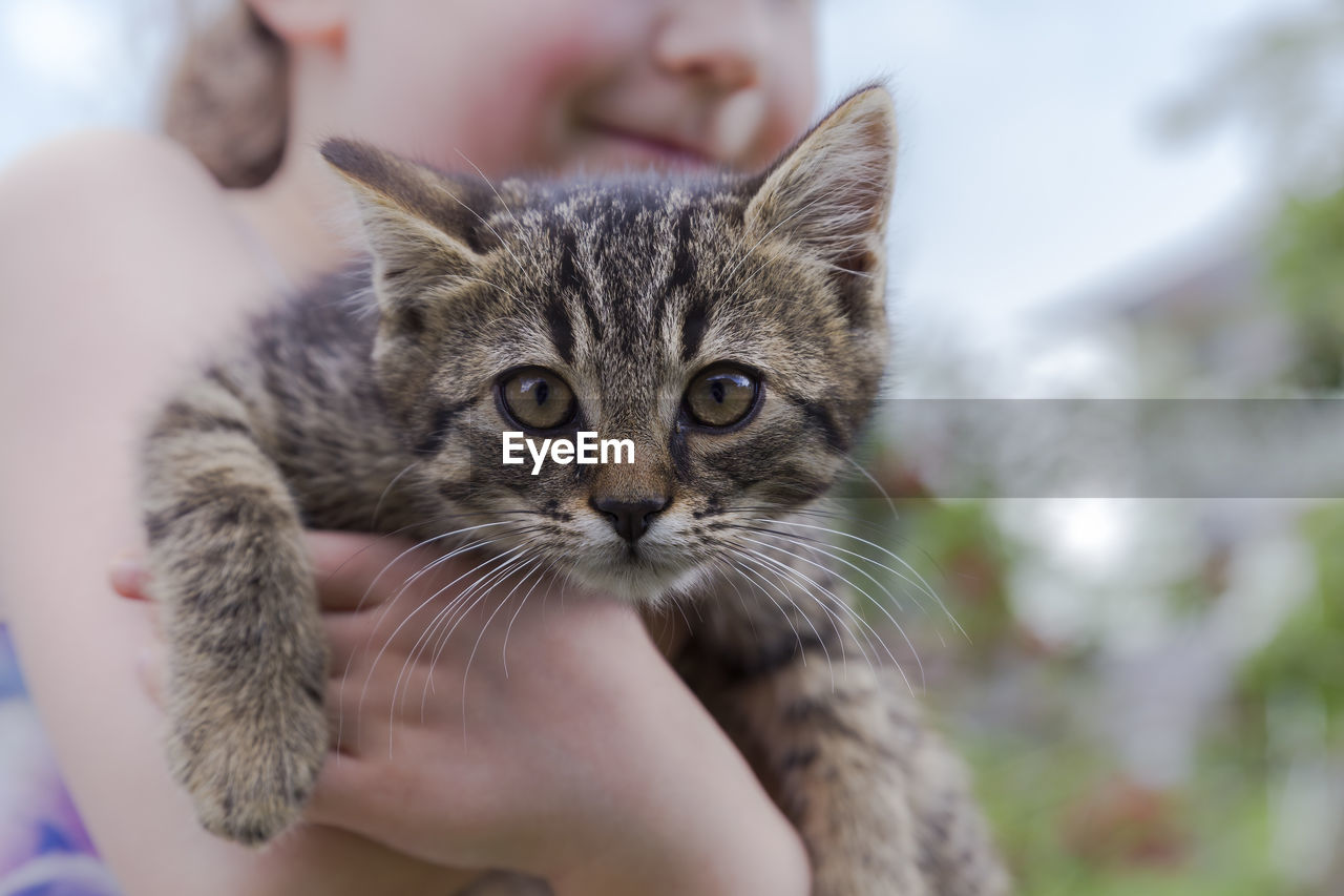 Midsection of woman holding cat outdoors