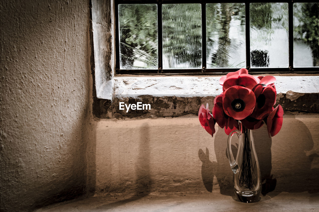 CLOSE-UP OF FLOWER ON WINDOW